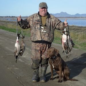 Meet your Posher, Ray